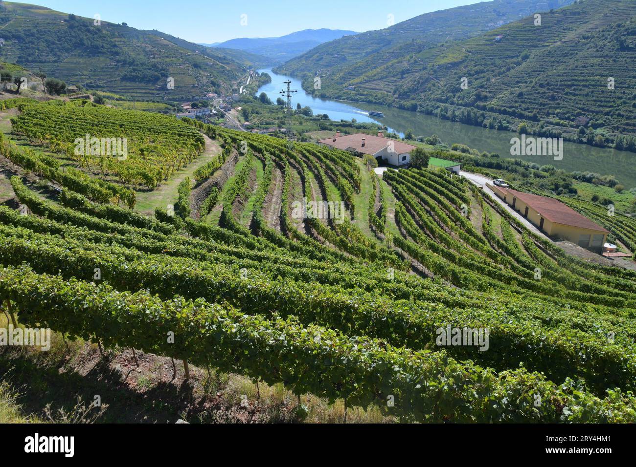 vineyards and charming native farms cling to the steep sides of the ...