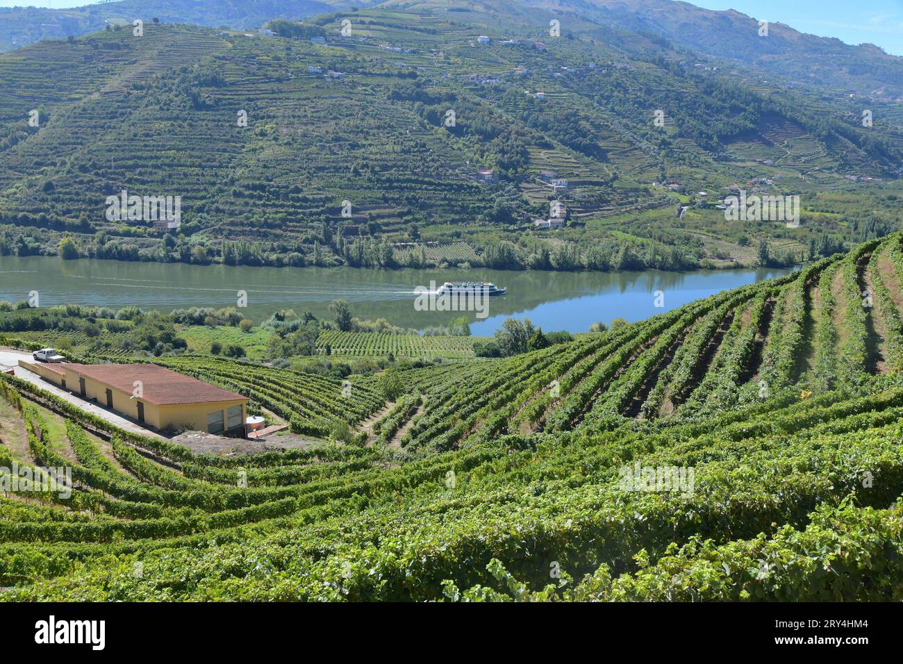 vineyards and charming native farms cling to the steep sides of the ...