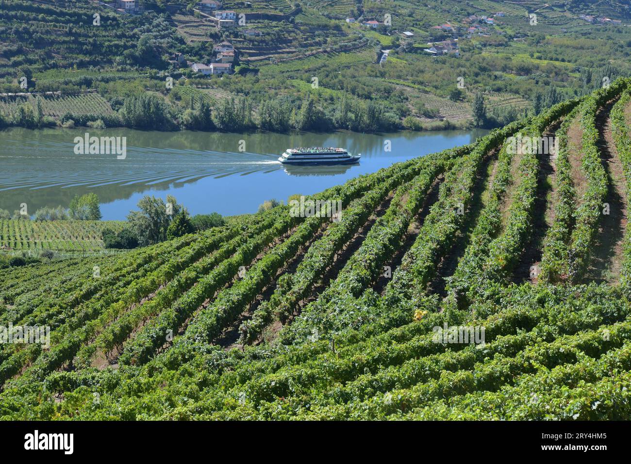 vineyards and charming native farms cling to the steep sides of the ...