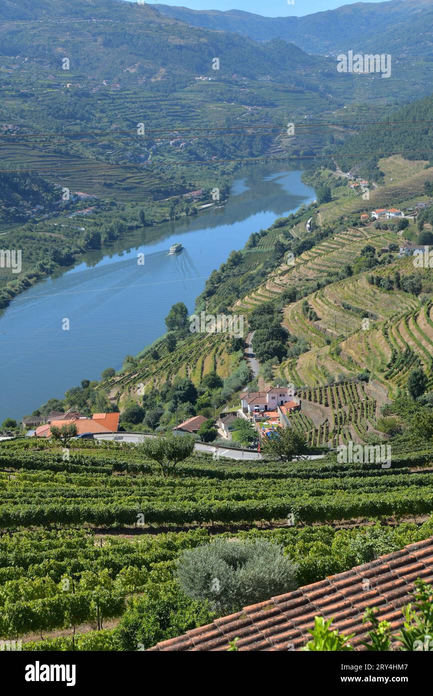 vineyards and charming native farms cling to the steep sides of the Douro River Valley, creating
