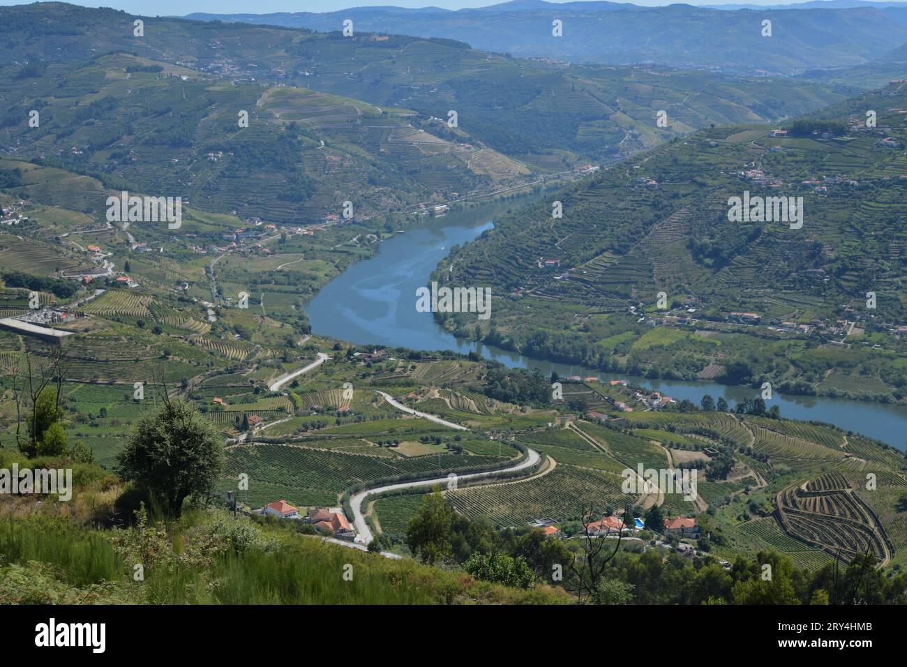 vineyards and charming native farms cling to the steep sides of the ...