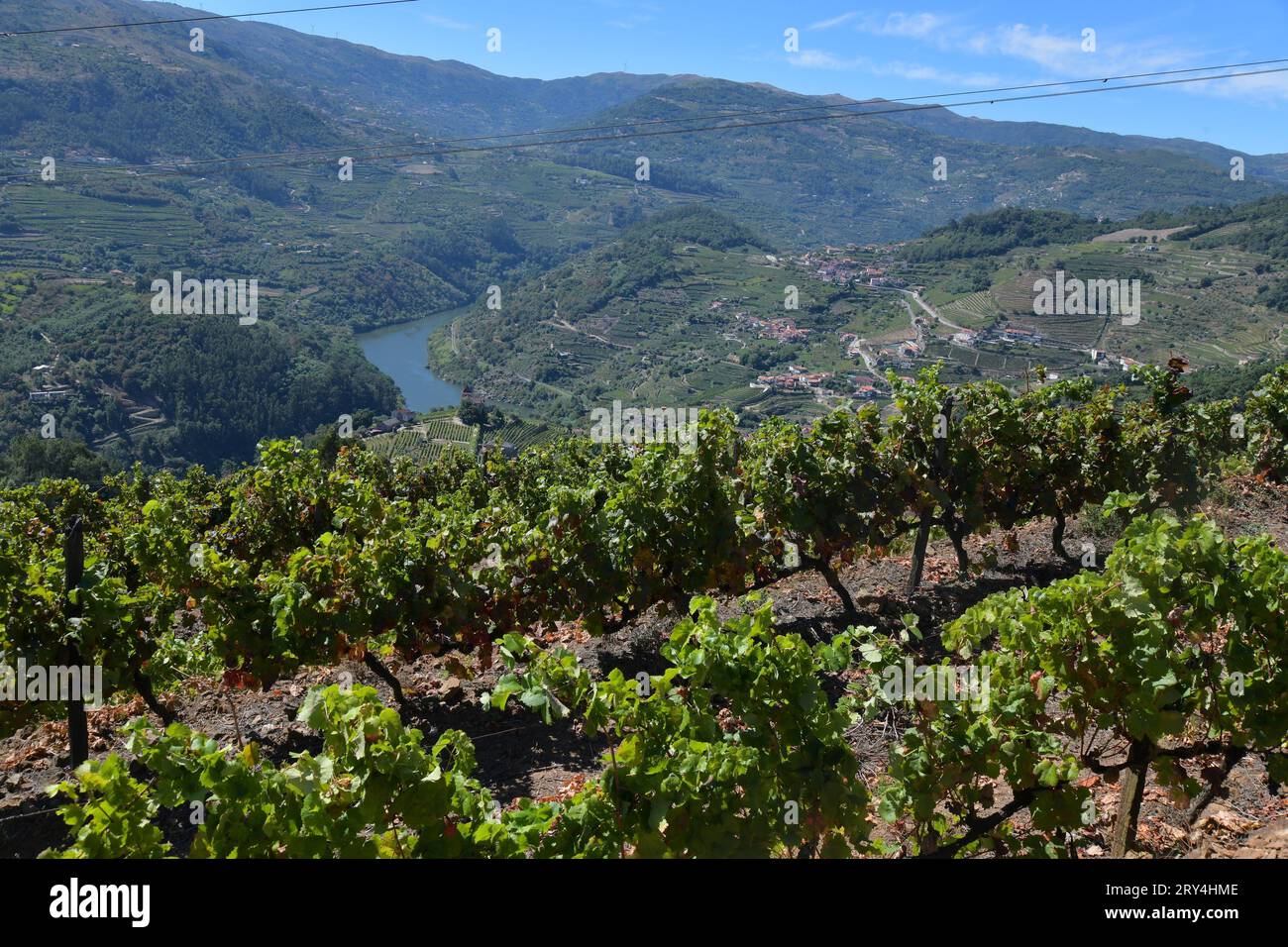 vineyards and charming native farms cling to the steep sides of the ...