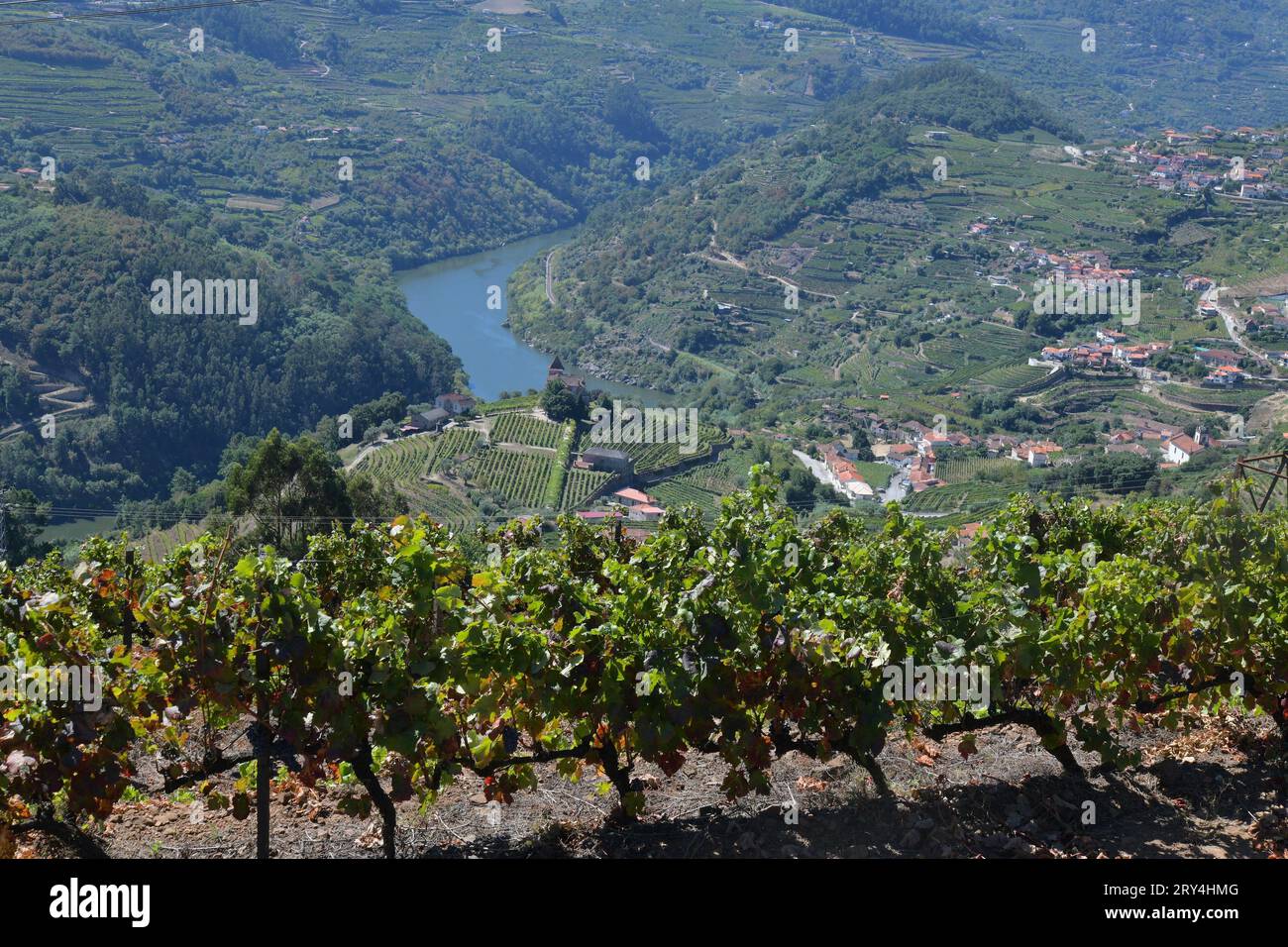 vineyards and charming native farms cling to the steep sides of the ...