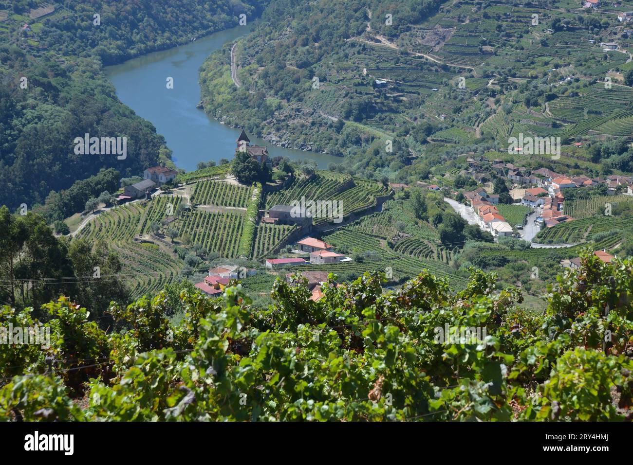 vineyards and charming native farms cling to the steep sides of the ...