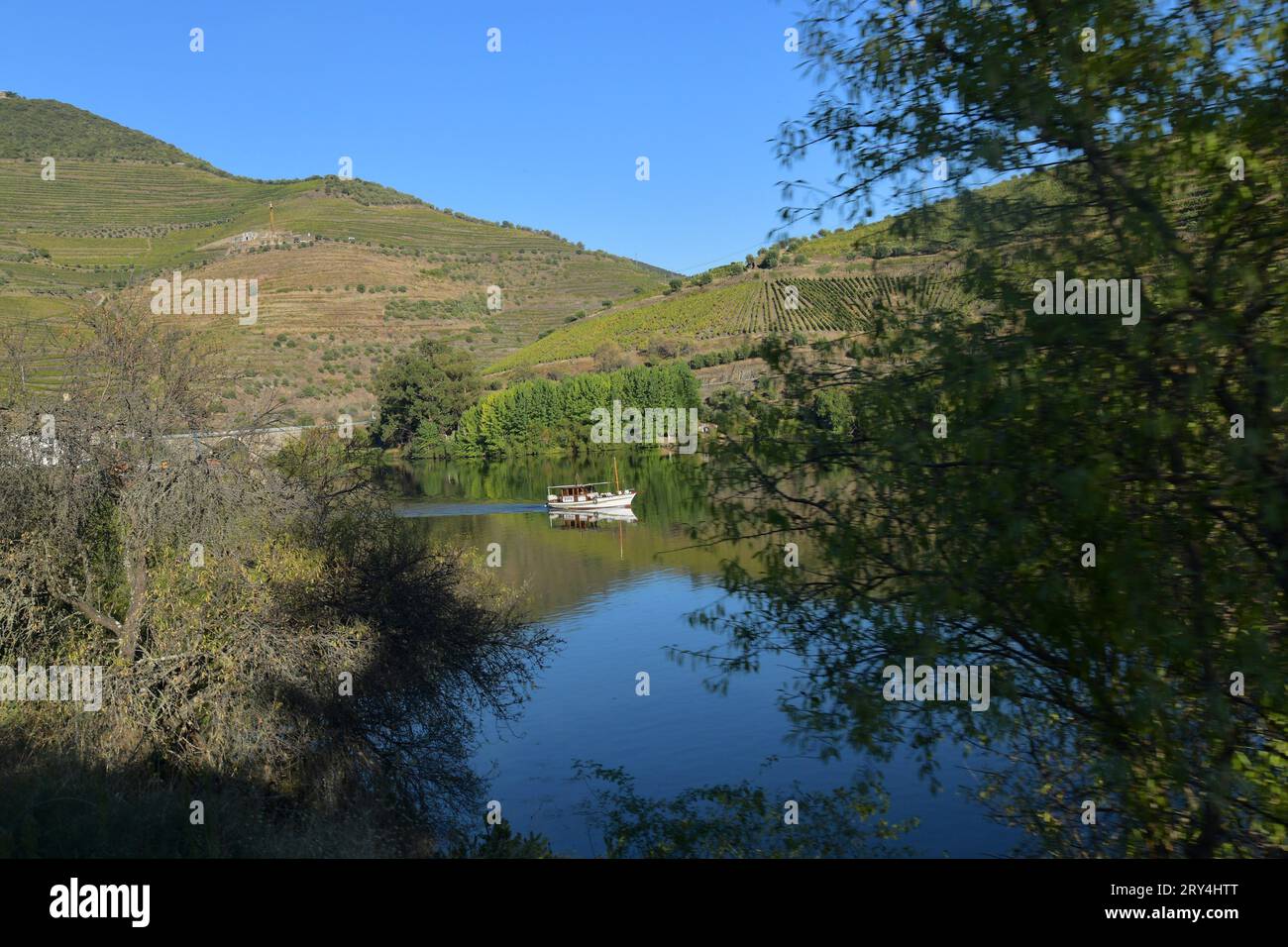vineyards and charming native farms cling to the steep sides of the ...