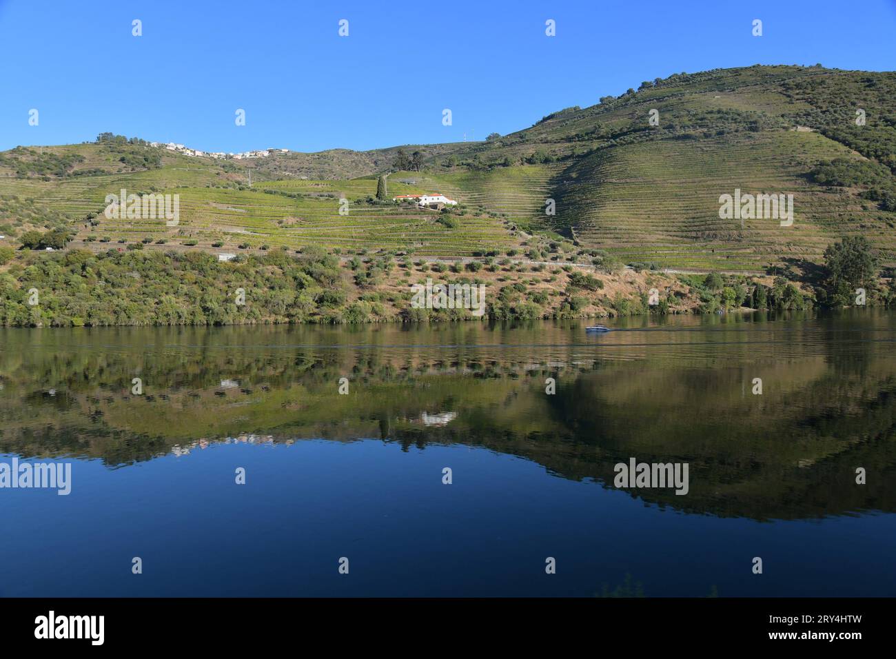 vineyards and charming native farms cling to the steep sides of the ...