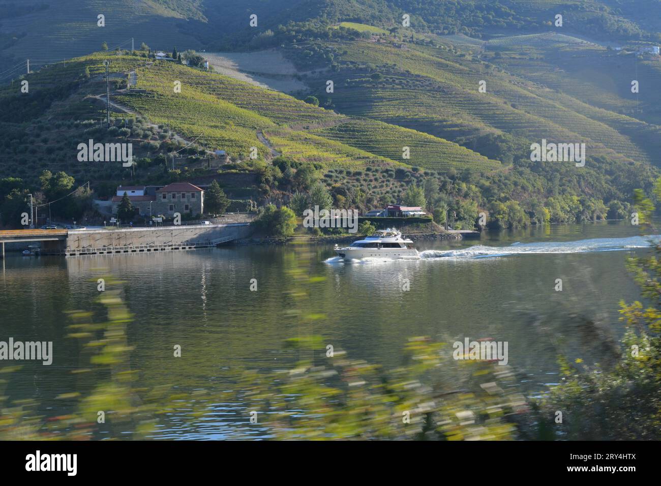 vineyards and charming native farms cling to the steep sides of the ...