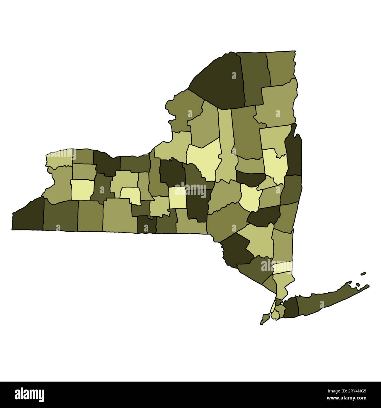 colourful map of New York State. New York Counties map, Newyork blank