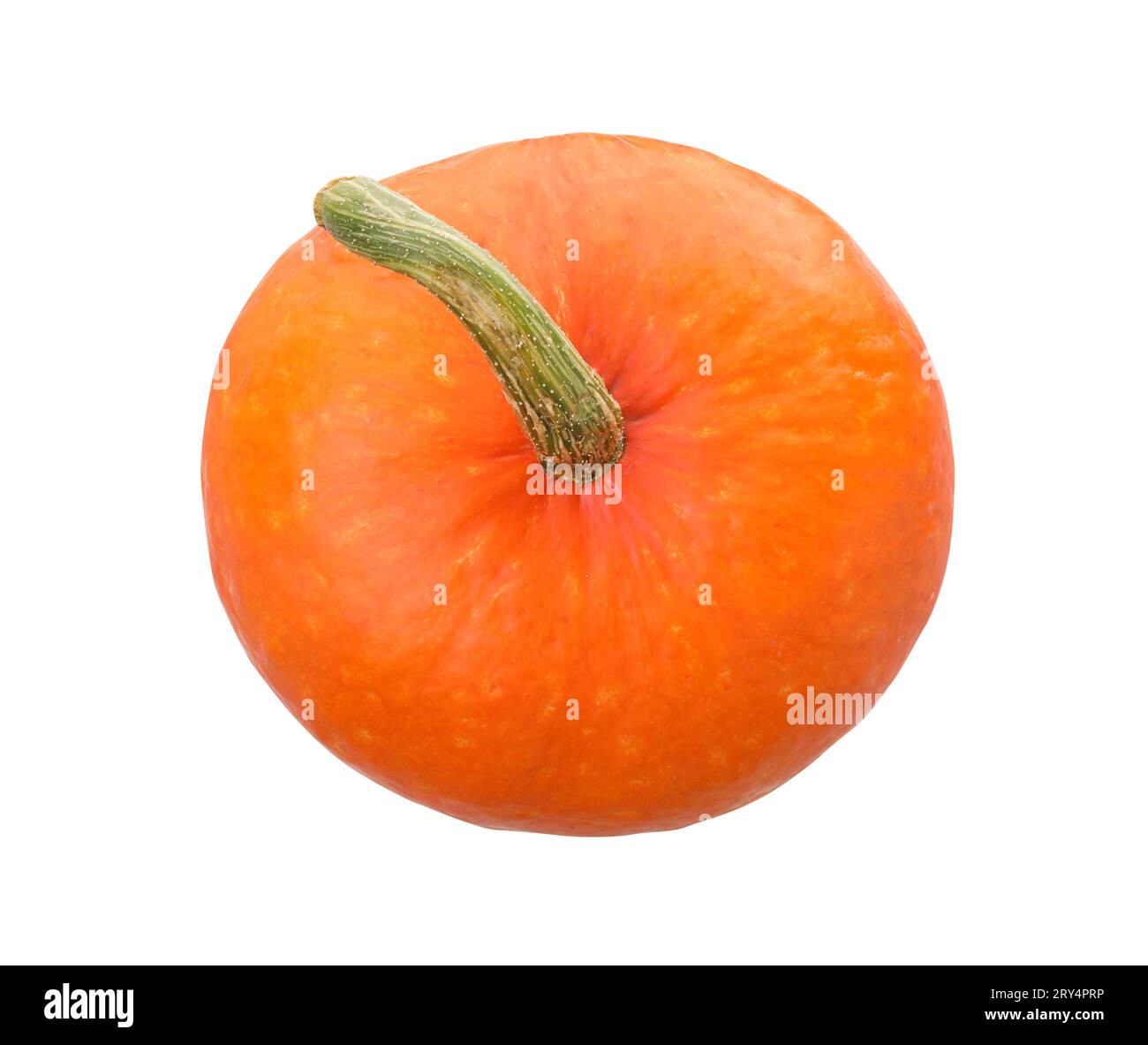 One fresh orange pumpkin isolated on white, top view Stock Photo - Alamy