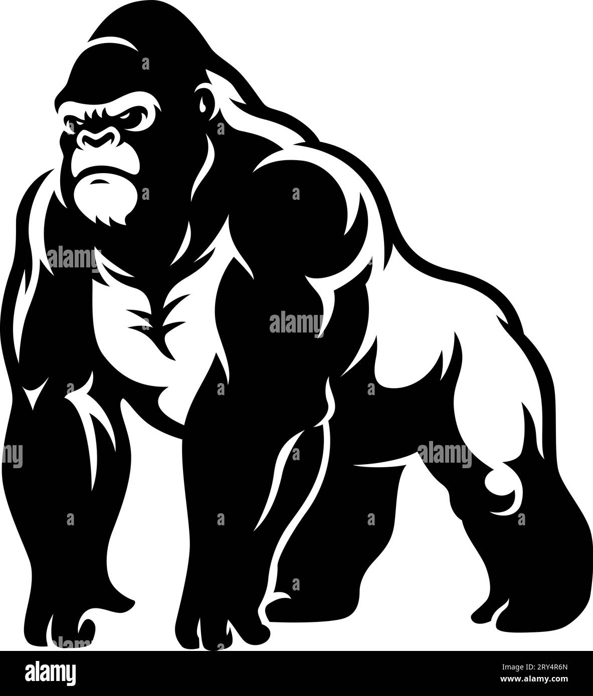 Aggressive Muscular Gorilla Standing Illustration Stock Vector Image ...