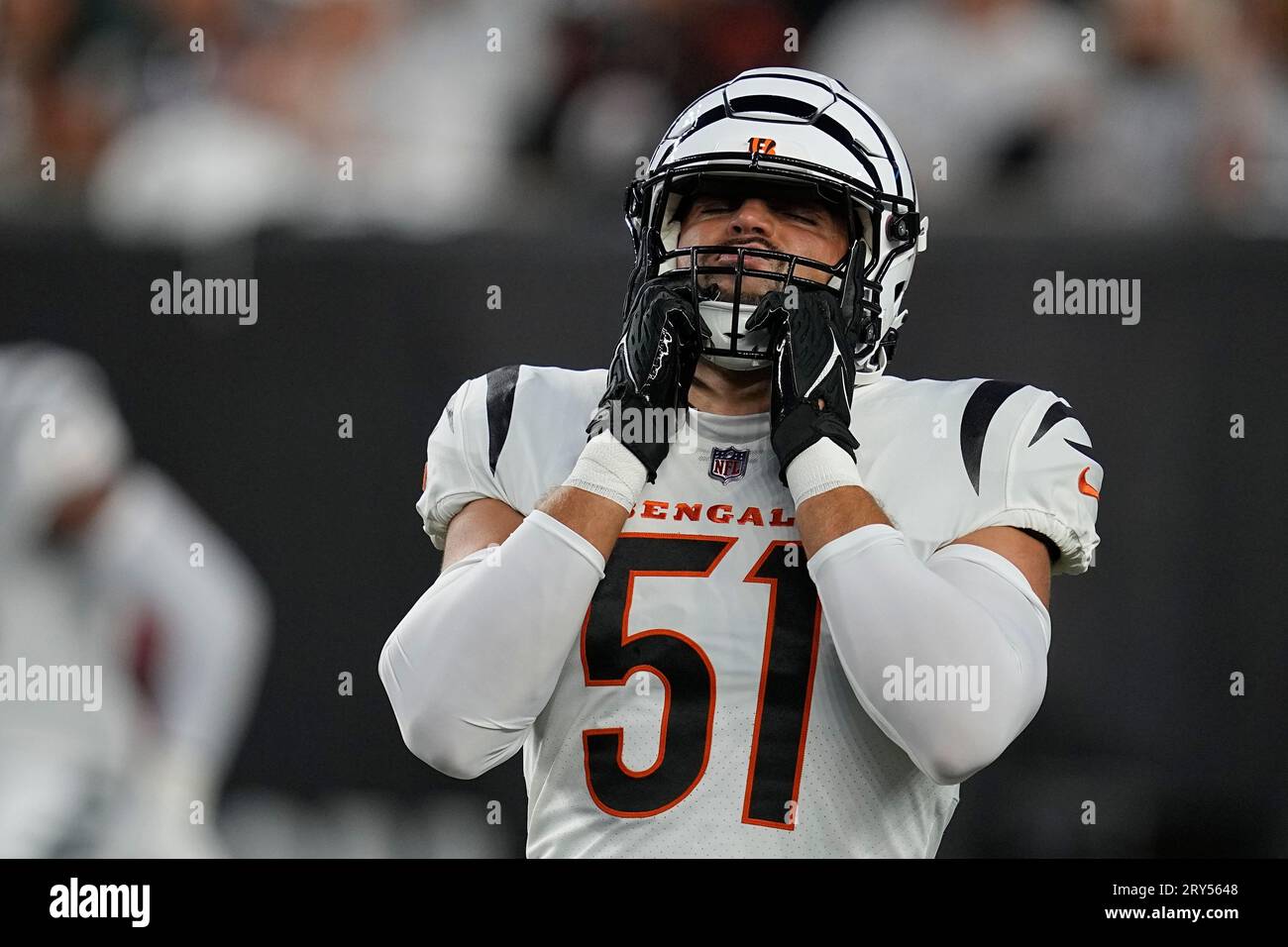 Cincinnati Bengals Linebacker Markus Bailey Looks On Before An NFL ...