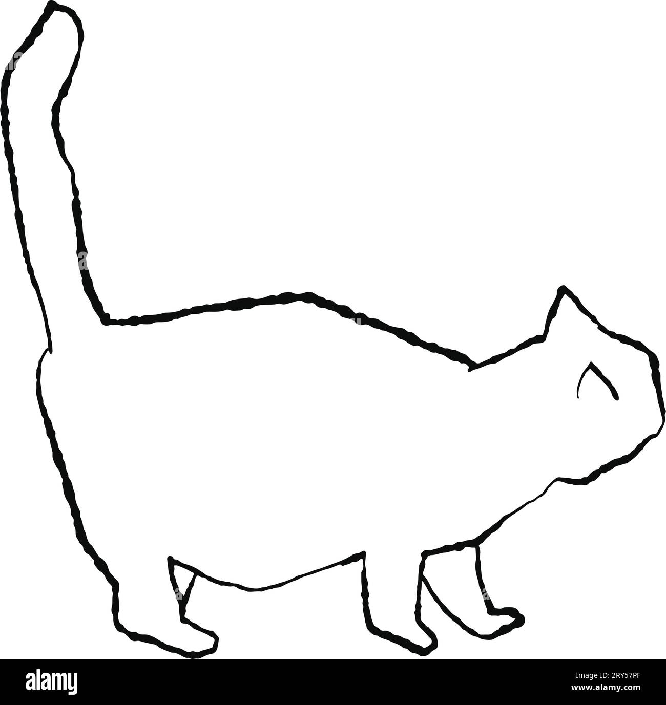 Simple and stylish ink hand-drawn monochrome line drawing illustration. Full body of a walking white cat Stock Vector