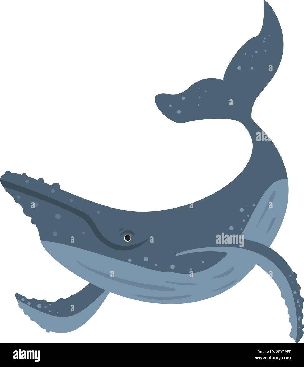 humpback sealife design Stock Vector Image & Art - Alamy