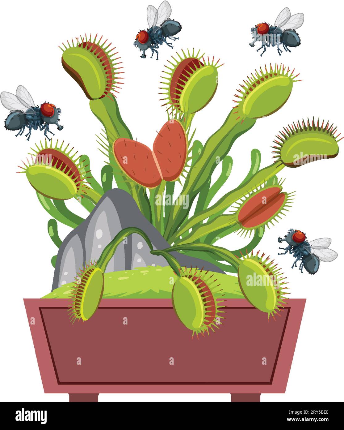 Vector cartoon illustration of flies hovering above a Venus flytrap