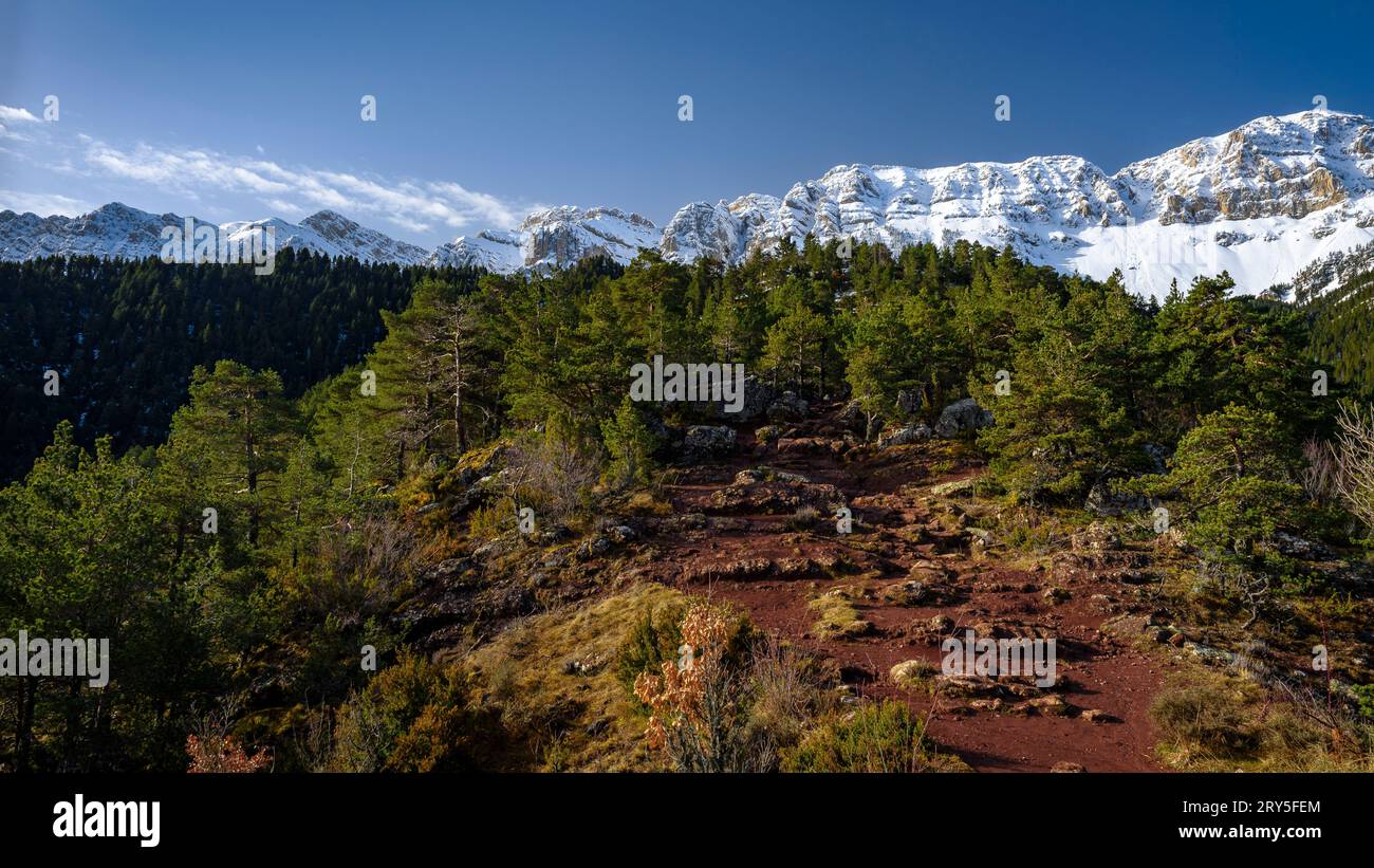 Serra de Cadí range on a winter morning after a snowfall (Cerdanya, Lleida, Catalonia, Spain, Pyrenees) ESP: Sierra de Cadí en una mañana de invierno Stock Photo