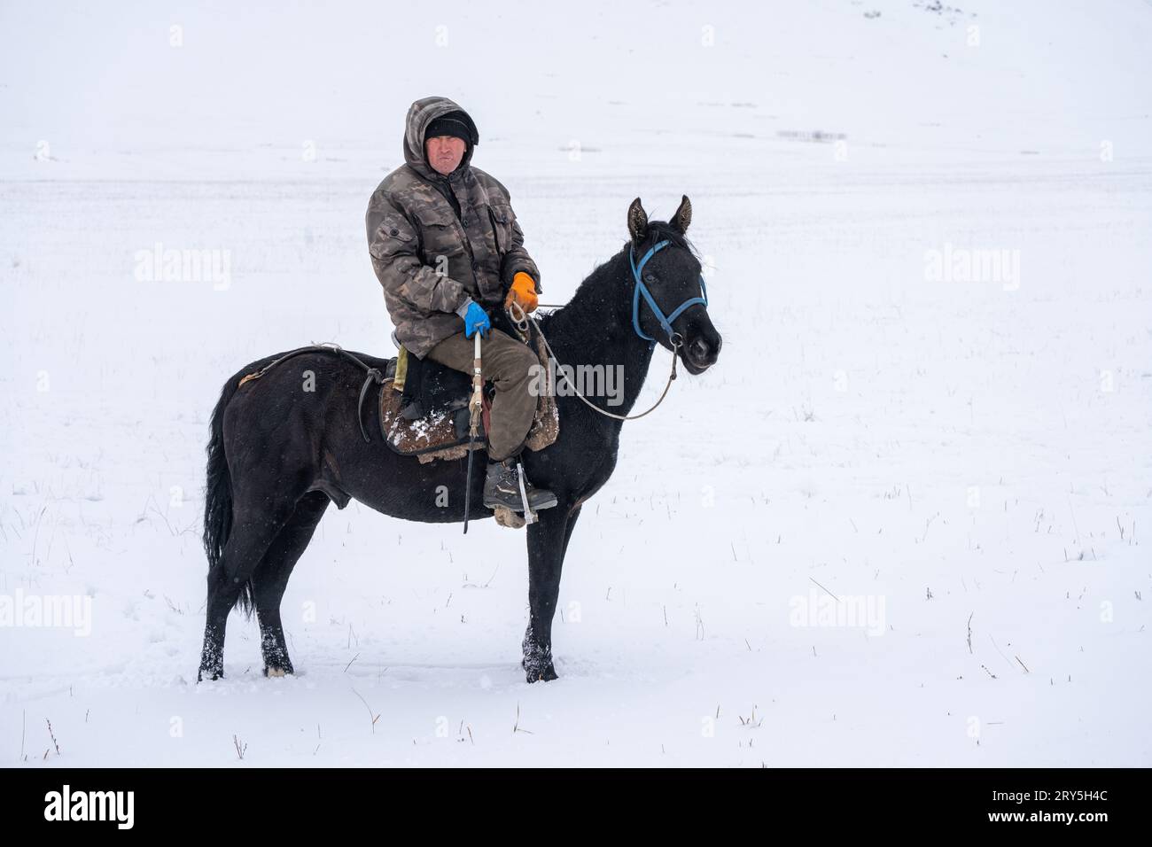 shepherd rides a horse in the snow in Kyrgyzstan Stock Photo - Alamy