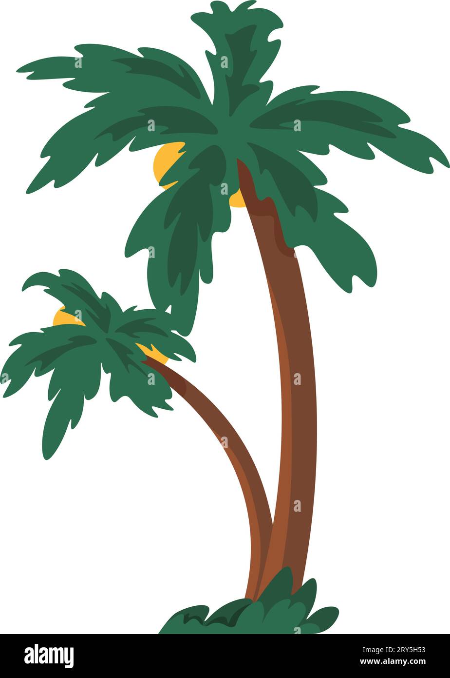 Tropical vegetation, palm tree with leaves vector Stock Vector Image ...
