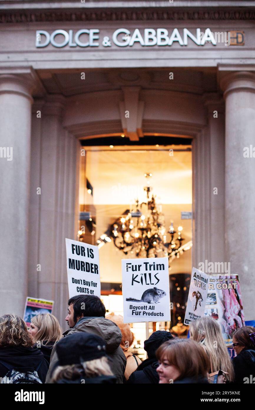 Fur is murder signage hi-res stock photography and images - Alamy