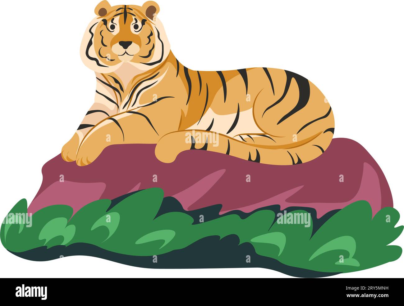 Wild bengal tiger nature mammal cartoon animal Vector Image