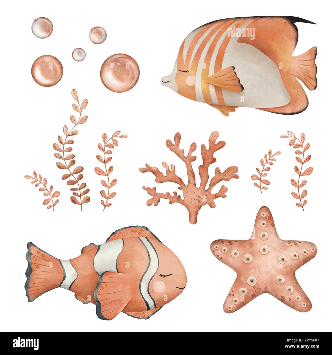 Set of Anemonefish or Clownfish in orange, black and white color and starfish, marine coral, seaweed algae. Hand drawn watercolor illustration of sea Stock Photo