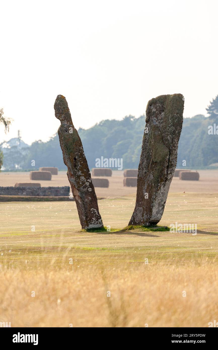 The impressive standing stones of Lundin Links which stand in the middle of a golf course, Fife Scotland. Stock Photo