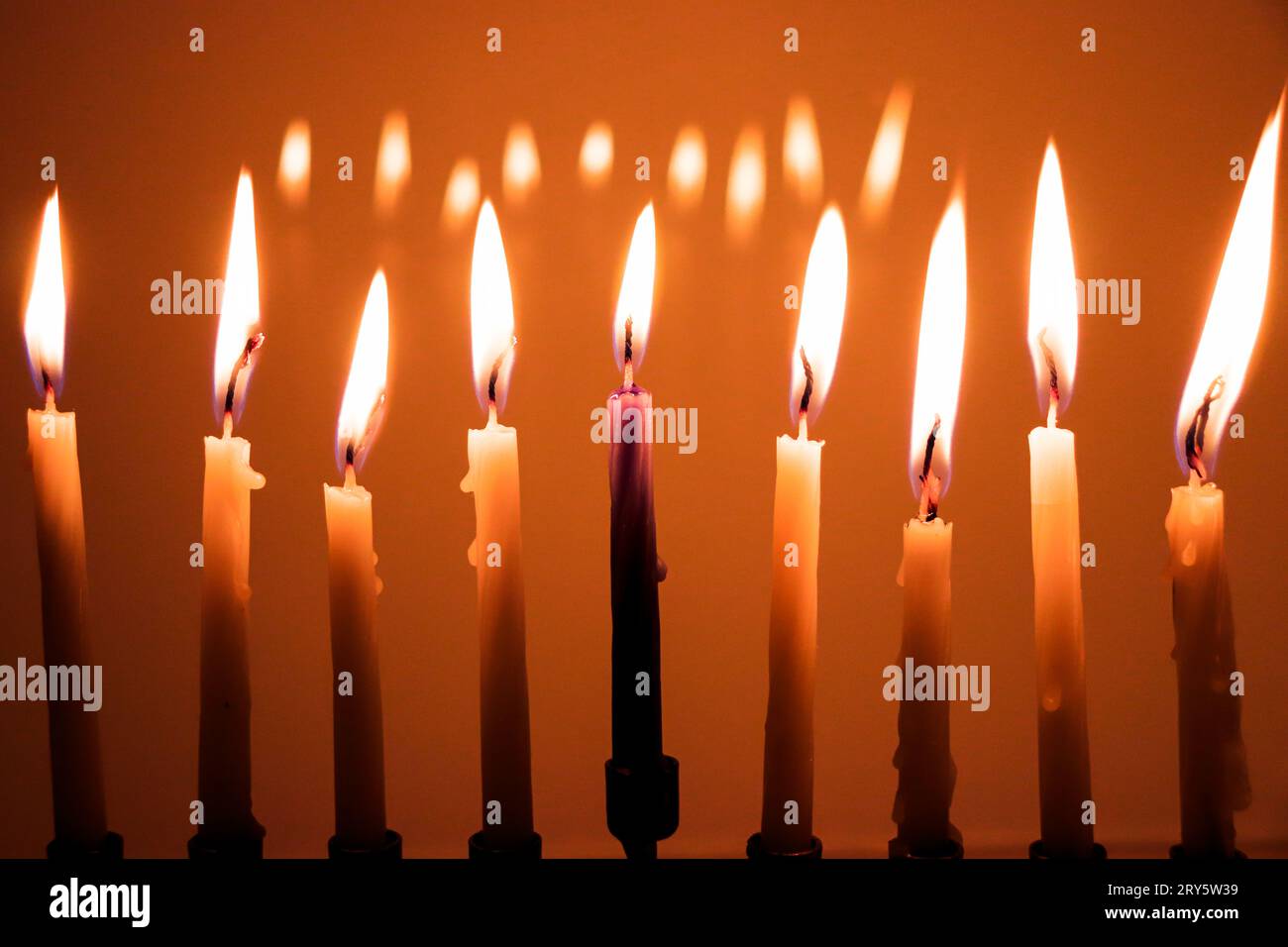 A full menorah on the last night of Hanukkah. Eight white candles and the center is blue. All candles are lit in a darkroom and reflecting in the back Stock Photo