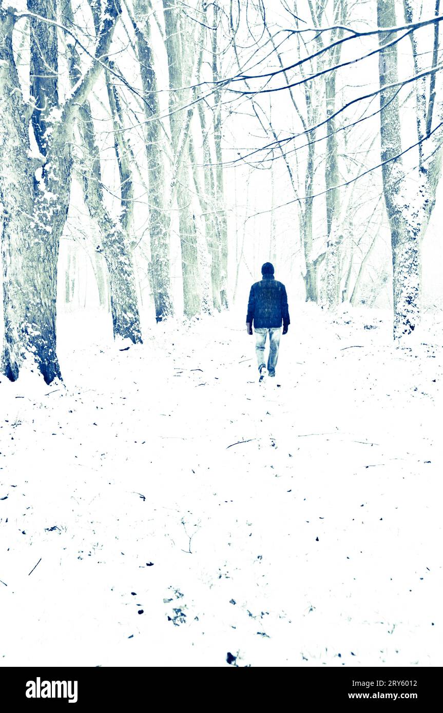 man walking away under snow in a forest Stock Photo