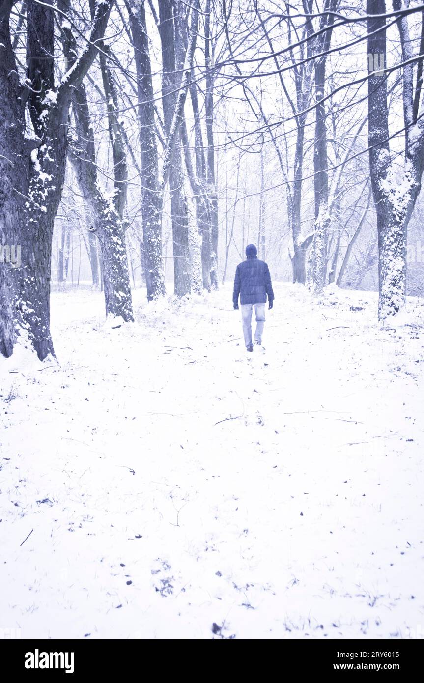 man walking away under snow in a forest Stock Photo