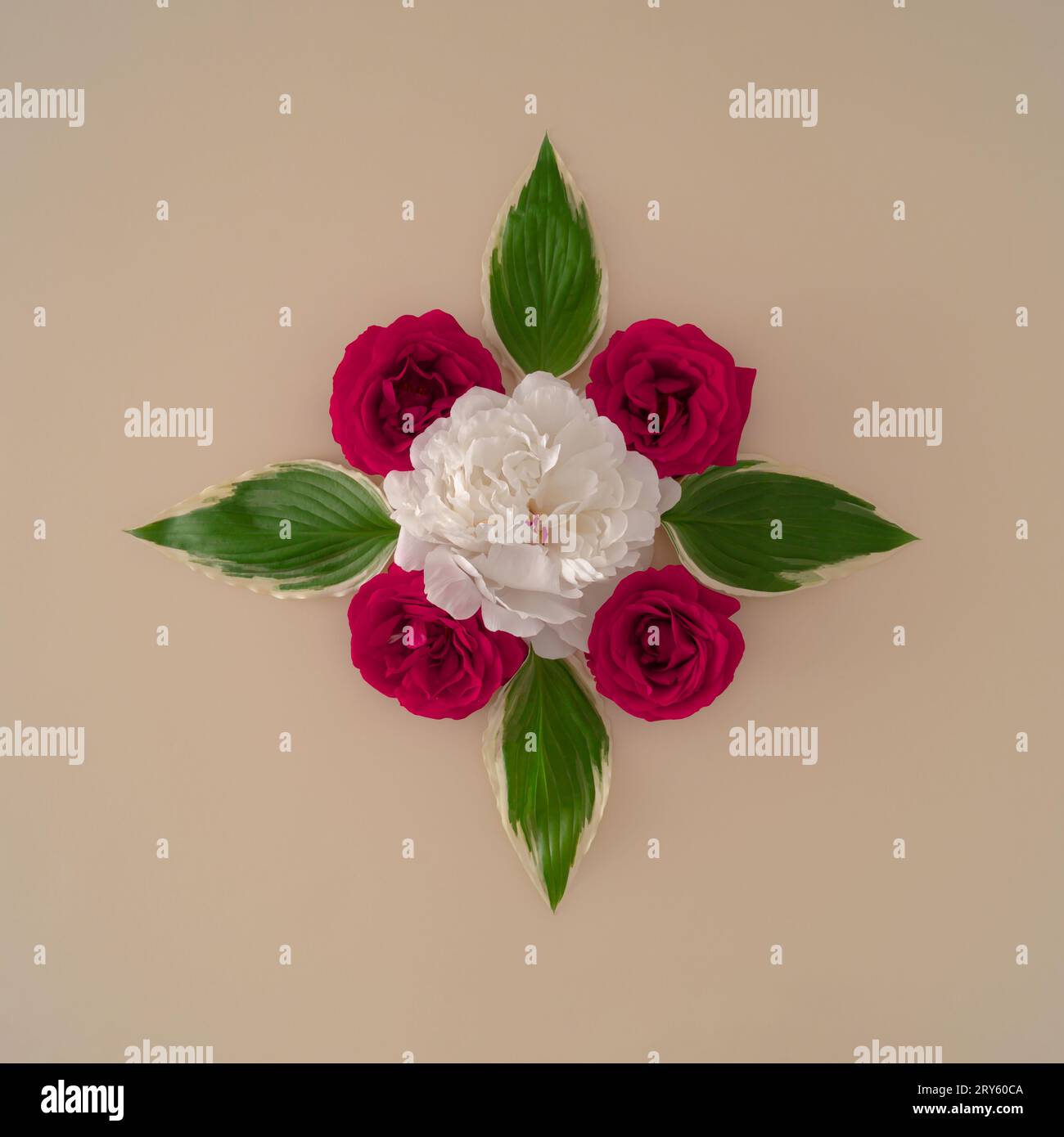 Creative layout made with red and white roses on pastel background ...
