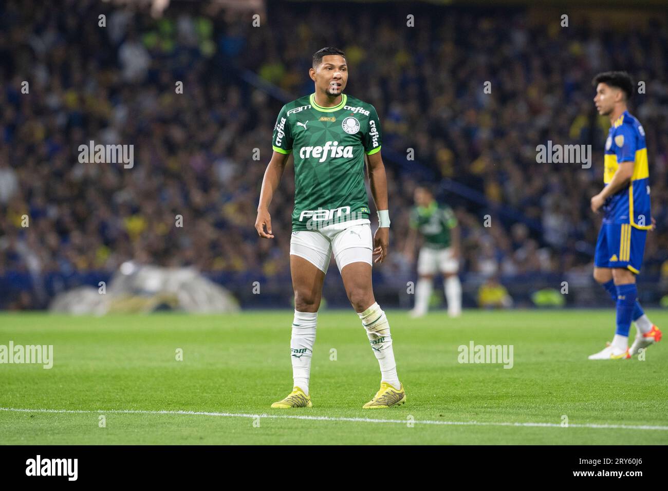 Rony palmeiras copa libertadores hi-res stock photography and images - Alamy