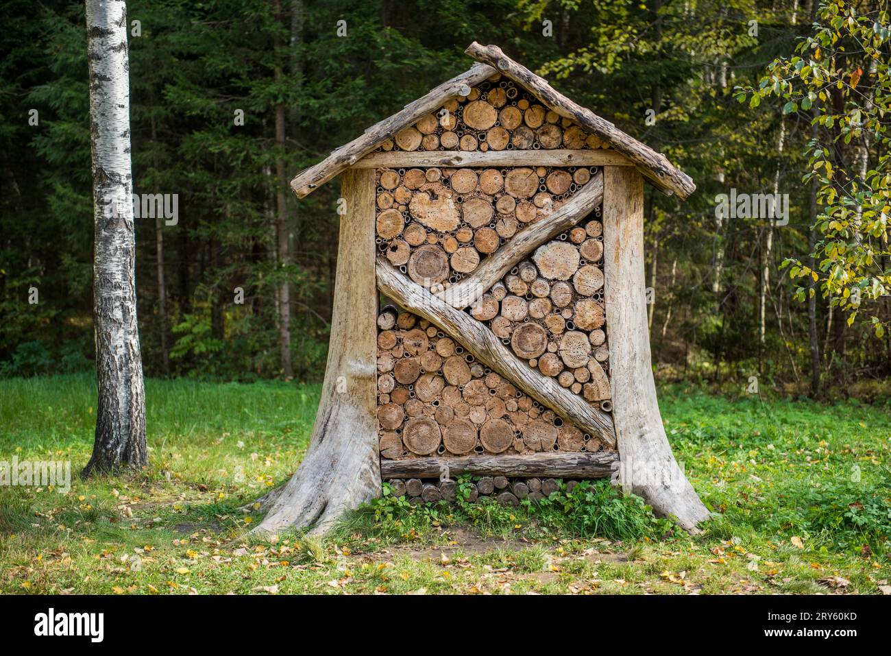 Wooden insect hotel, shelter for wild insects in forest reserve. House ...