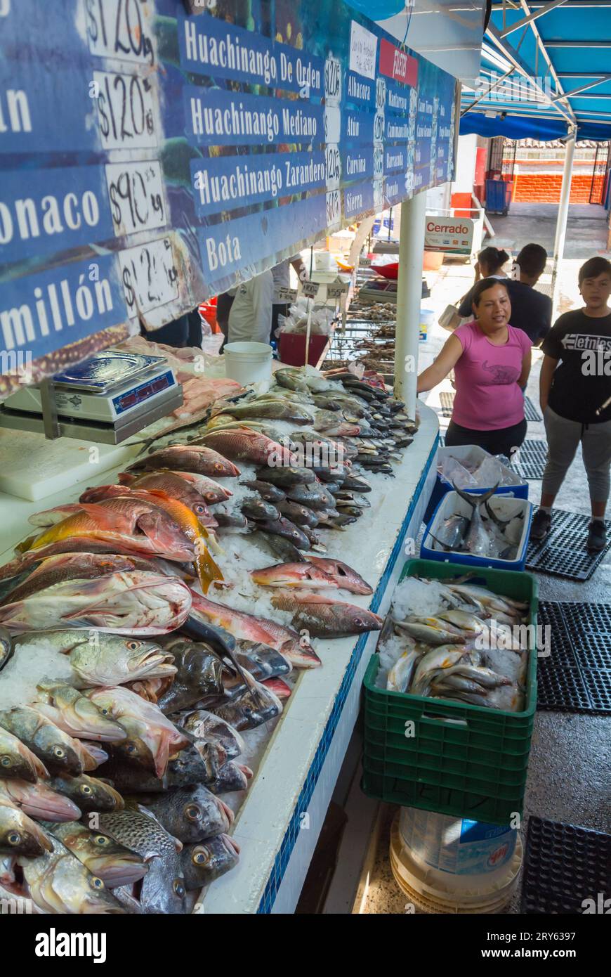 Puerto Vallarta, Jalisco, Mexico, Mexican locals at fish market of Puerto Vallarta. Editorial only. Stock Photo