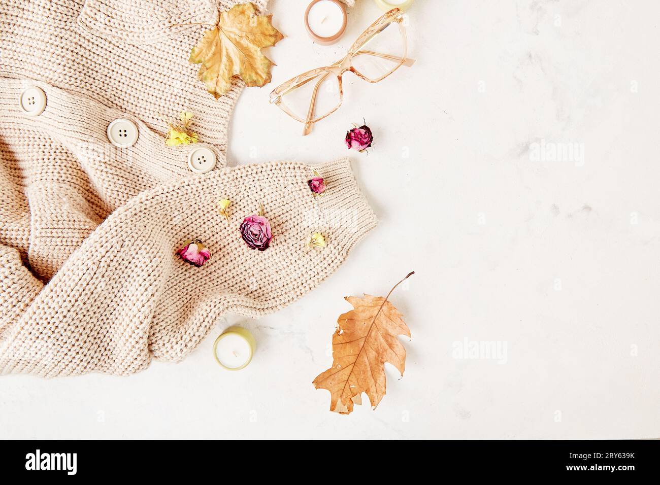 Aesthetics sweater weather background, autumn-Inspired with dry roses ...