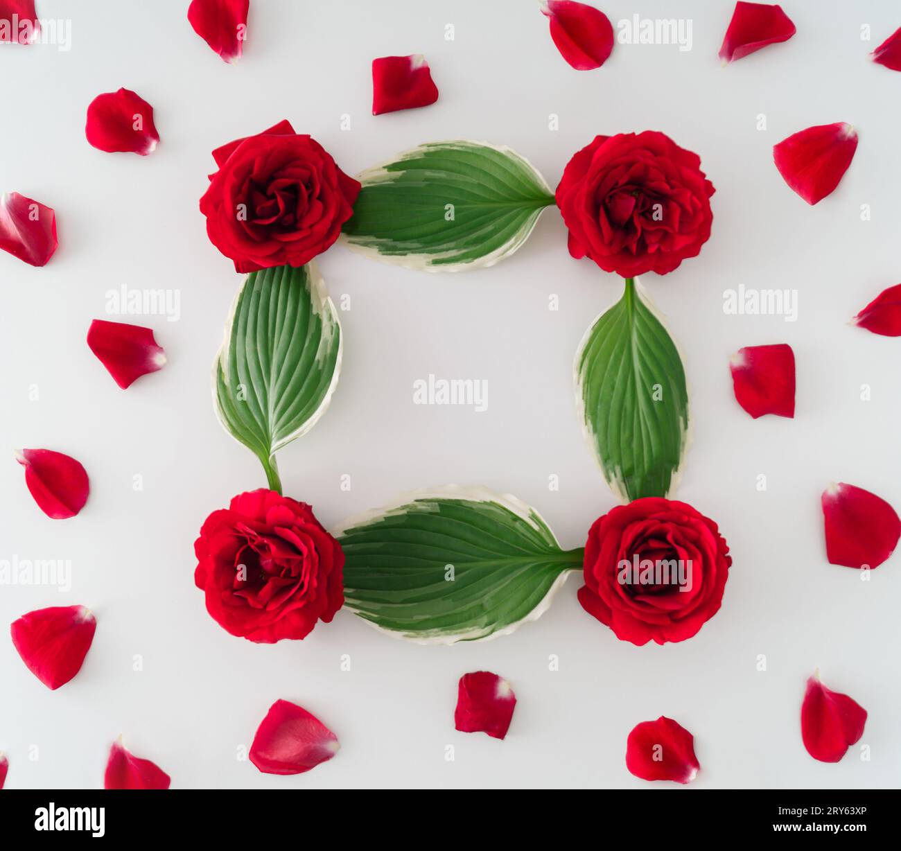 Creative layout with red roses, petals, leaves and copy space. Nature ...