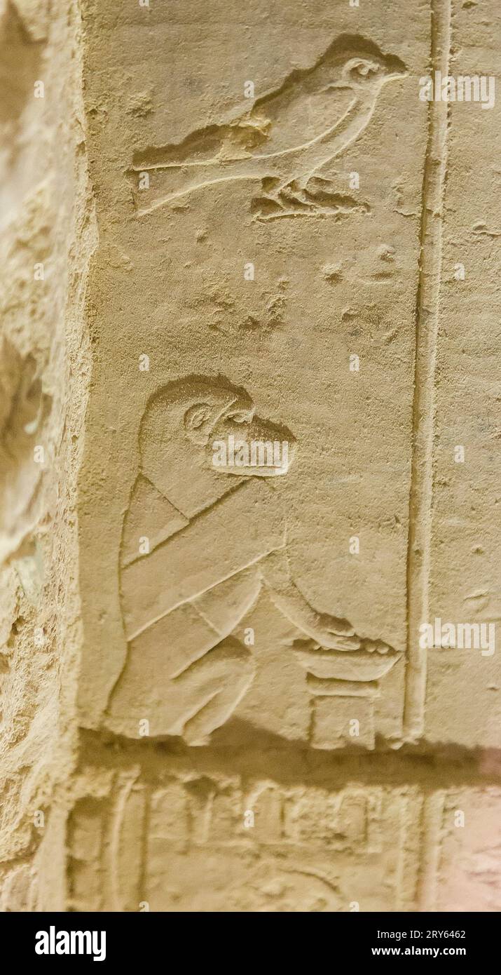 Egypt, Saqqara, Djoser pyramid, North Tomb, a detail of king Djoser jubilee ceremony ('Sed feast'), in low relief. Stock Photo