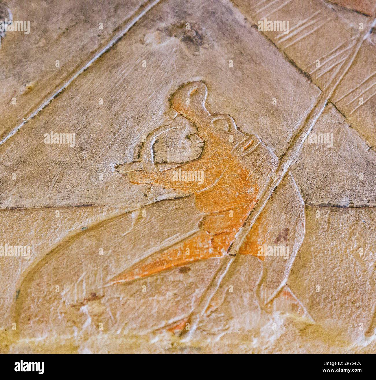 Egypt, Saqqara, tomb of Mehu, hippopotamus under a barque. Stock Photo