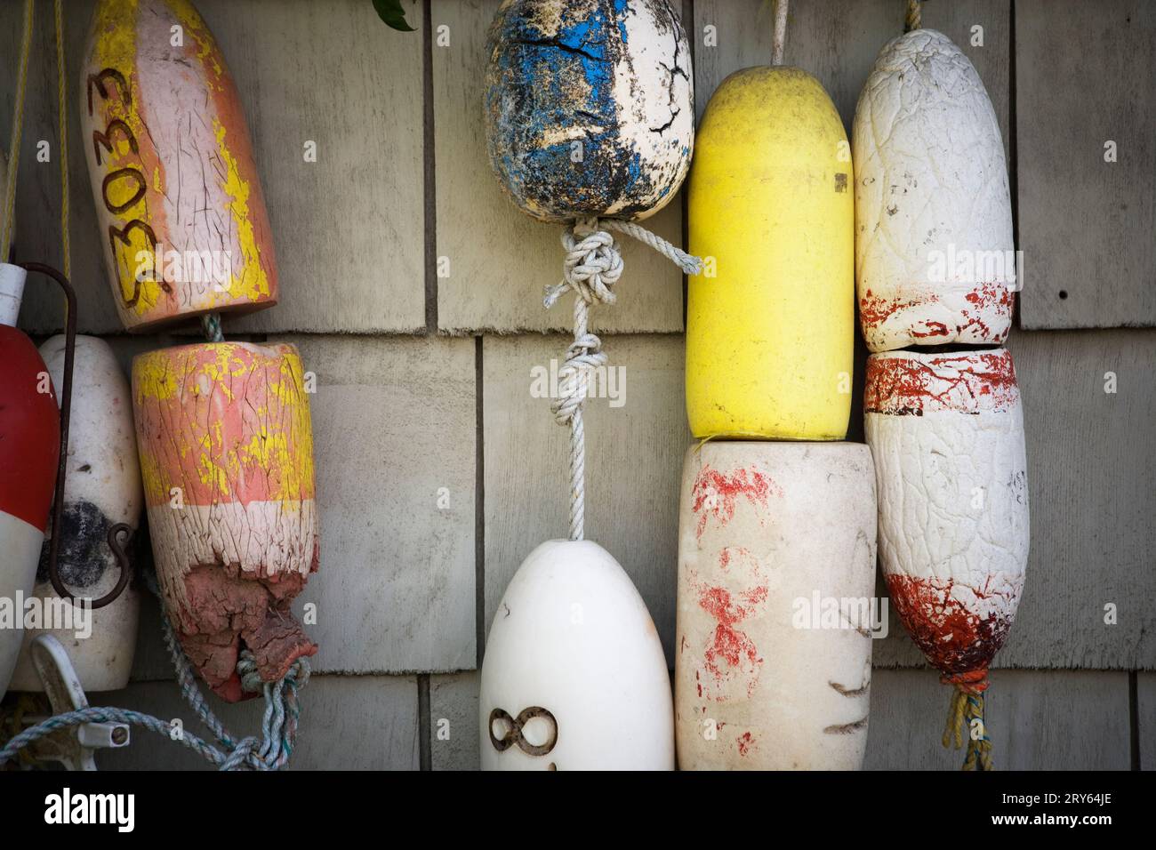 Fishing display hi-res stock photography and images - Alamy