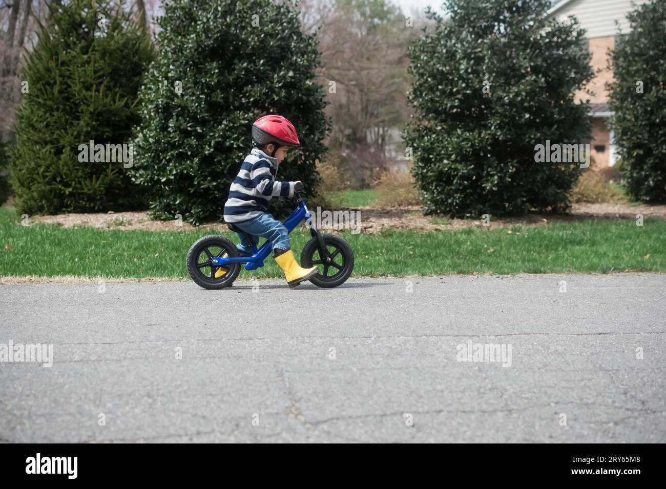 Entertainer balance bike sale