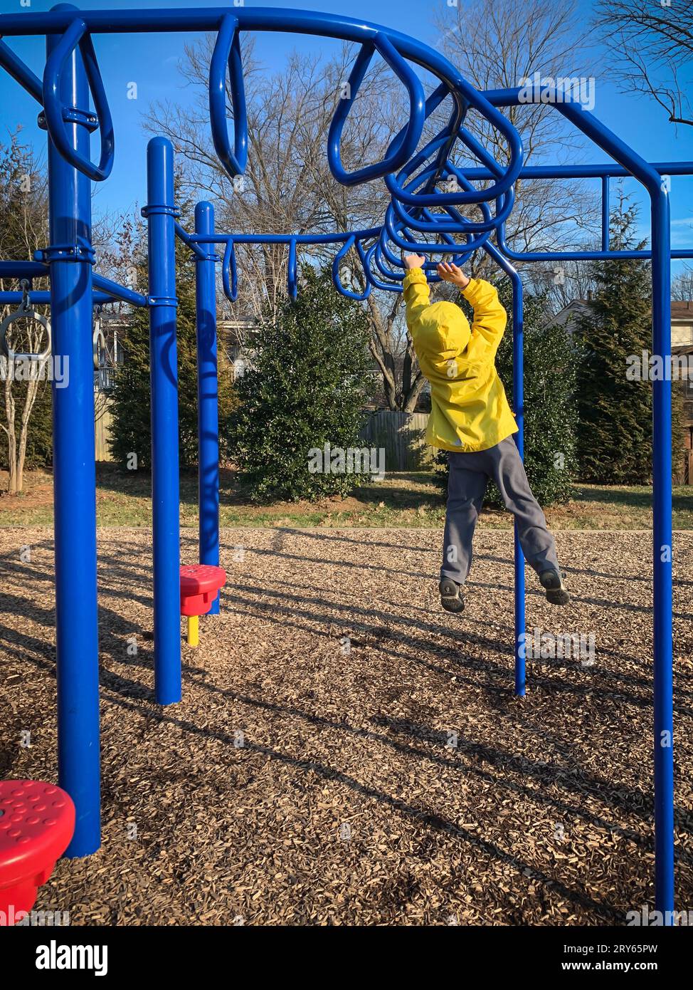 Playground Monkey Bars for Schools by SportsPlay