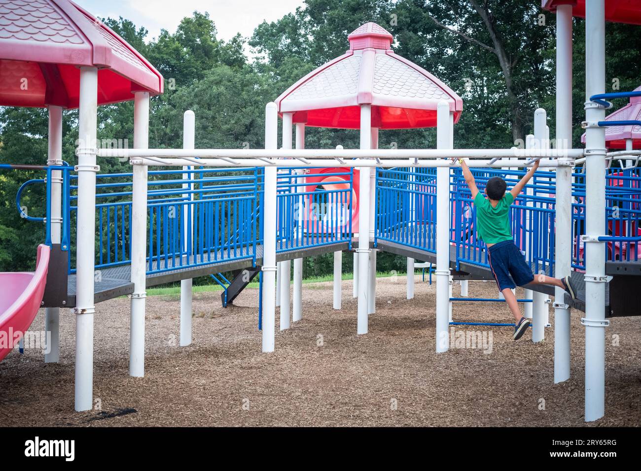 Playground Monkey Bars for Schools by SportsPlay