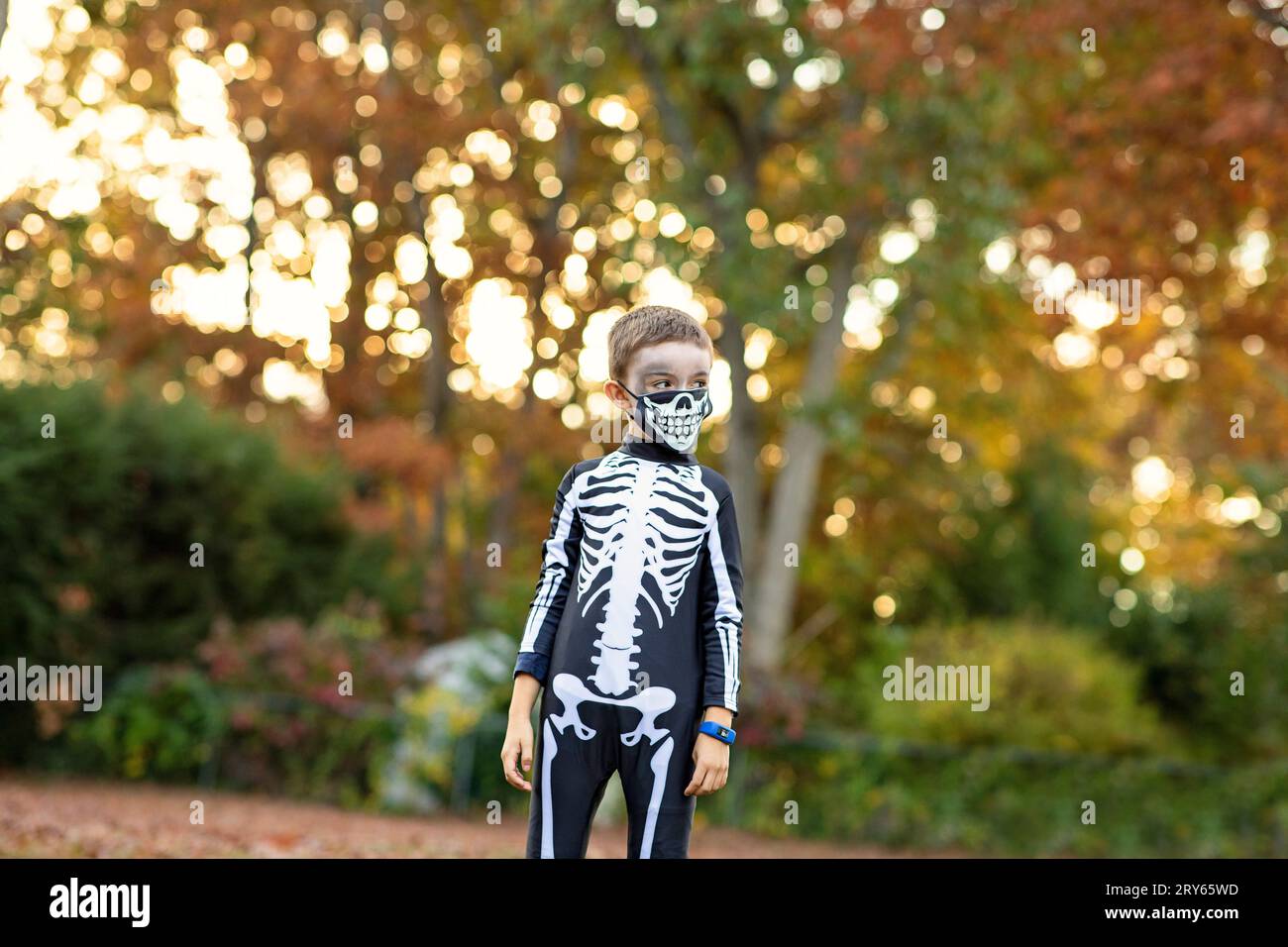Young boy in skeleton Halloween costume amid fall leaves. Stock Photo