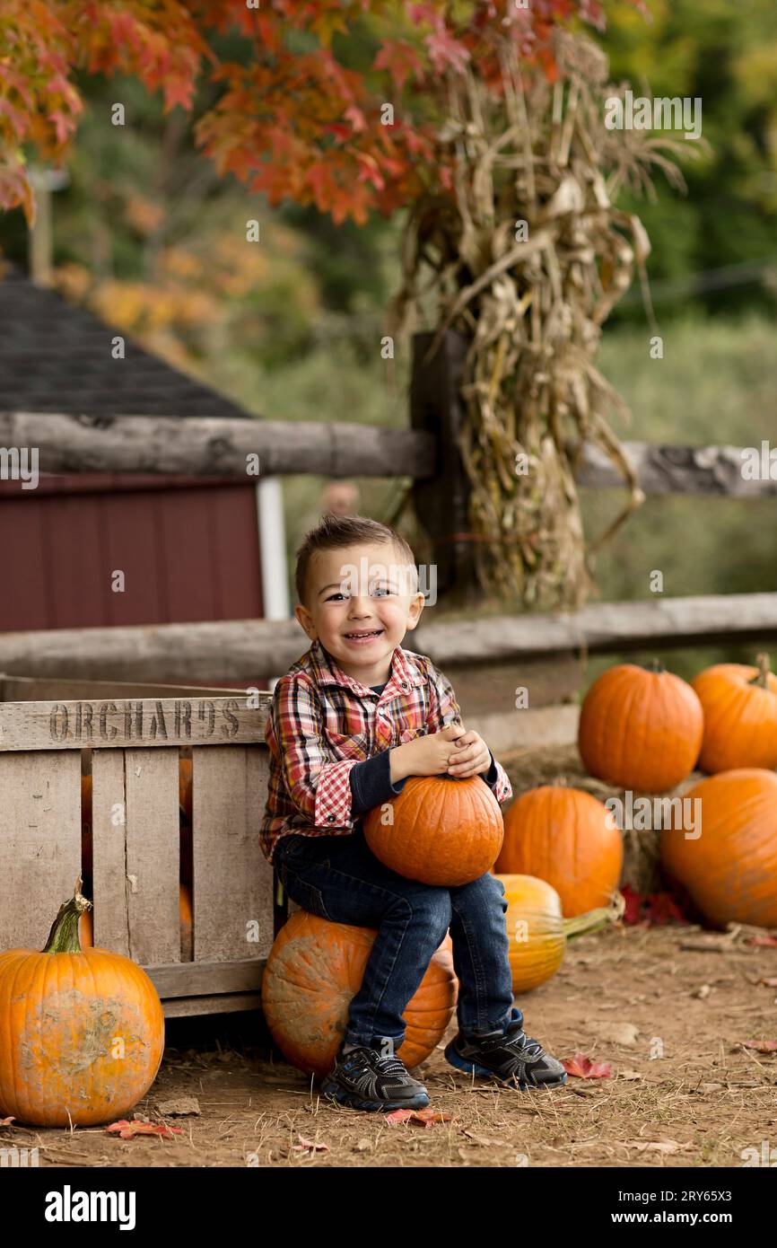 Cute little boy smiling and holiding pumpkin at pumpkin patch Stock Photo