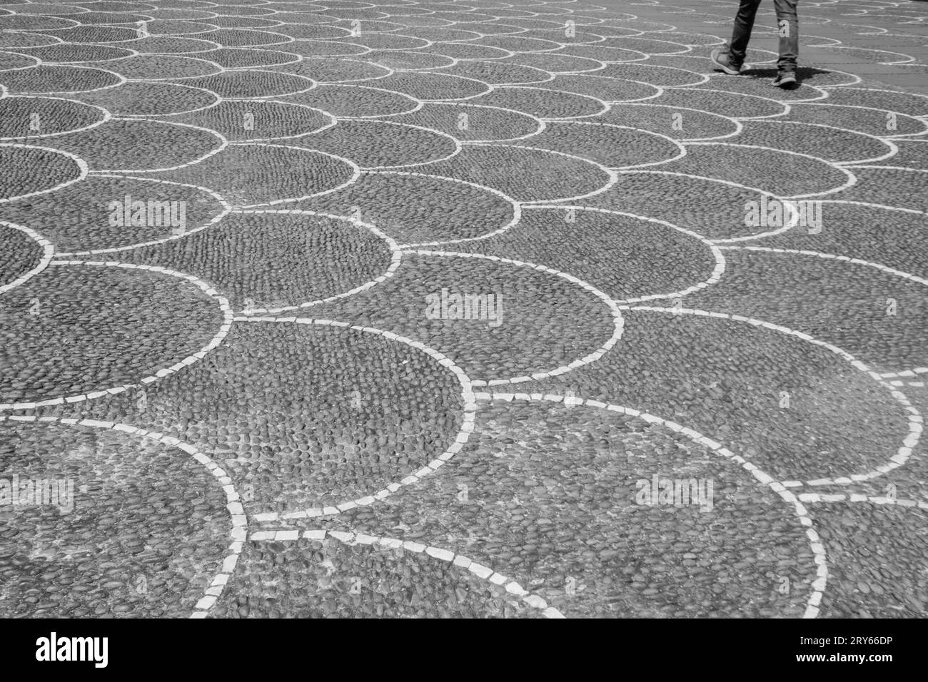 walking across the sidewalk on the street Stock Photo