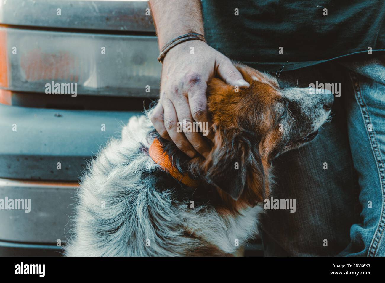 Mechanic Man Petting Dog While Leaning on Work Truck Stock Photo