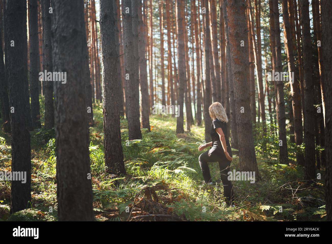 Woman walks through pine forest hi-res stock photography and images - Alamy