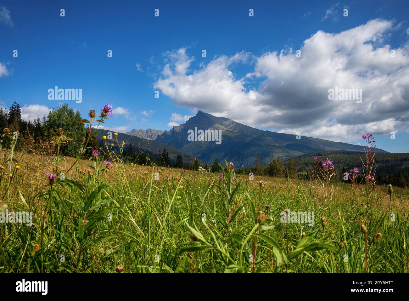 View of famous Krivan peak in High Tatras,Slovakia.National symbol ...