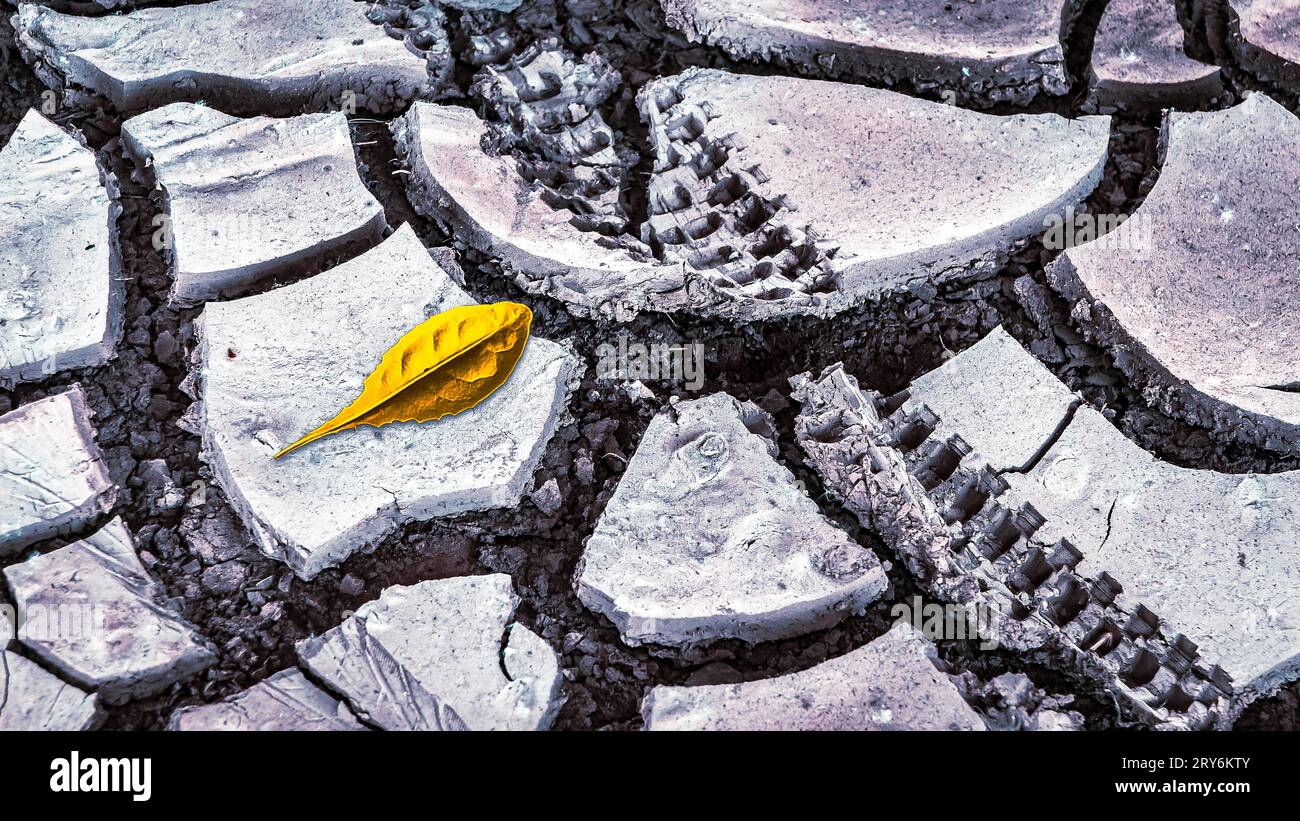 Effects of climate change and extreme weather Stock Photo - Alamy