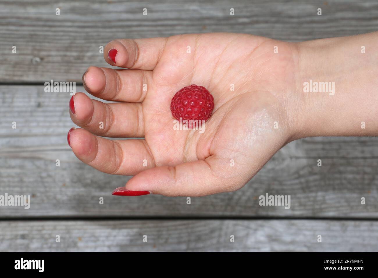 Raspberry in her hand Stock Photo - Alamy
