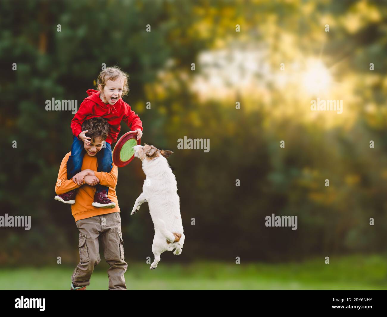 Brother and sister playing together with family pet dog and flying disc on Fall day Stock Photo
