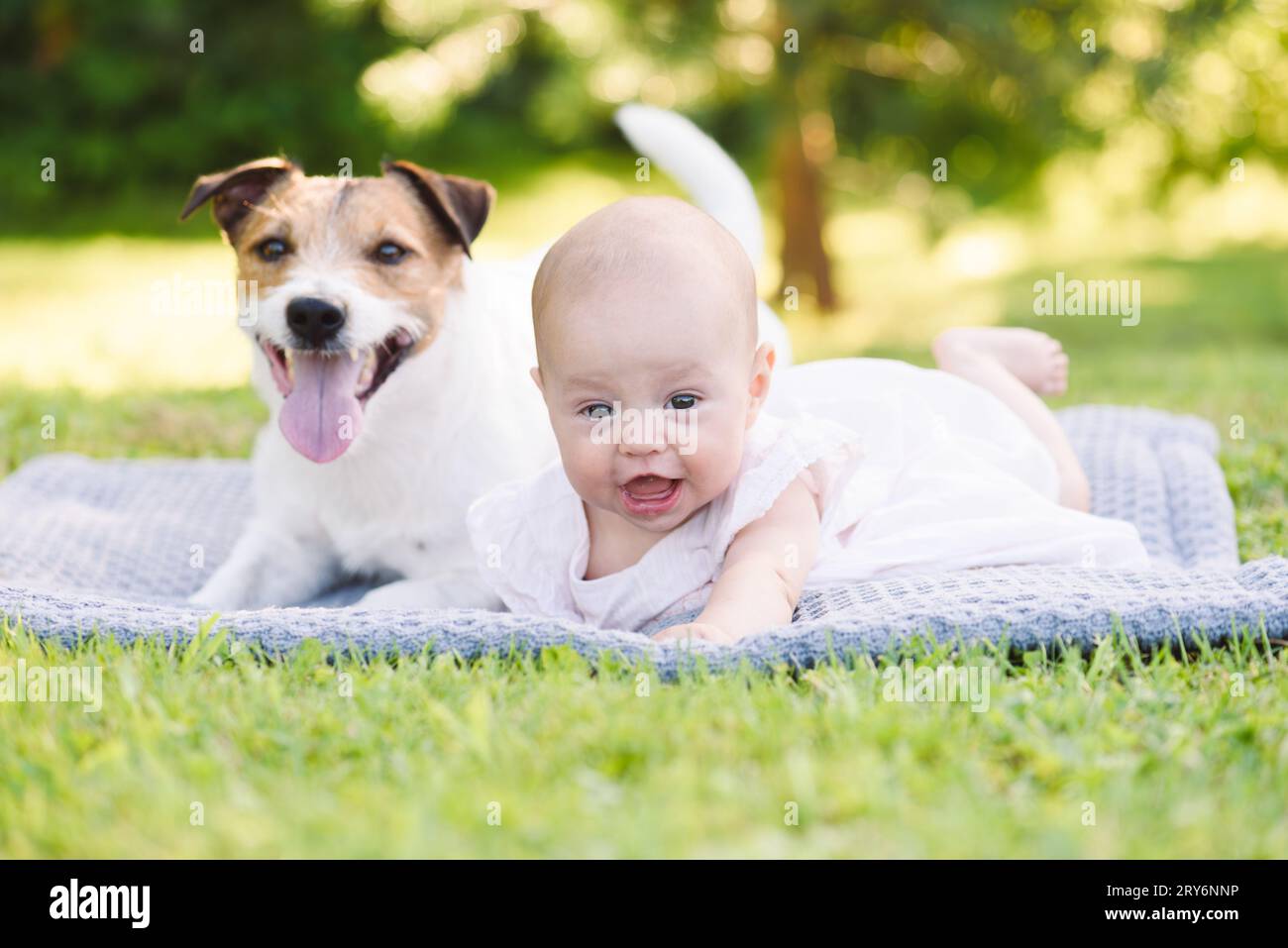 Happy baby girl and family pet dog lying on grass in park on beautiful summer day Stock Photo